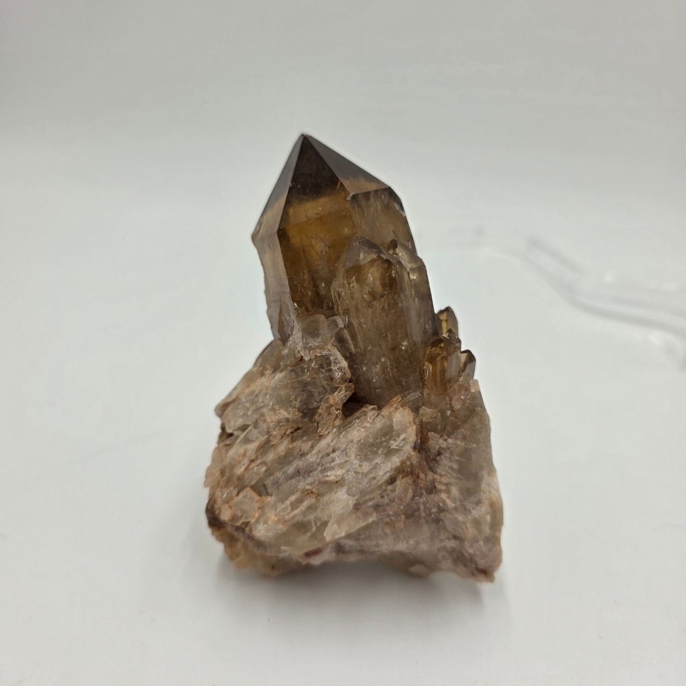 Natural Smoky Quartz Crystal Cluster Point Specimen Brown Translucent 1lb 4.25in